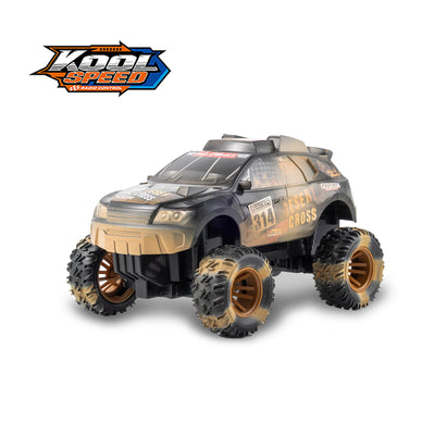 1:16 R/C Mud Rally Truck