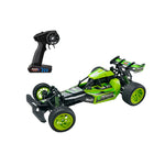 1:10 2.4GHz R/C High Speed Sage Hunter
