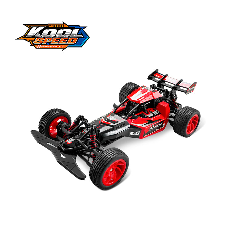 1:10 2.4GHz R/C High Speed Sage Hunter