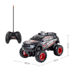 1:16 R/C Rally Truck
