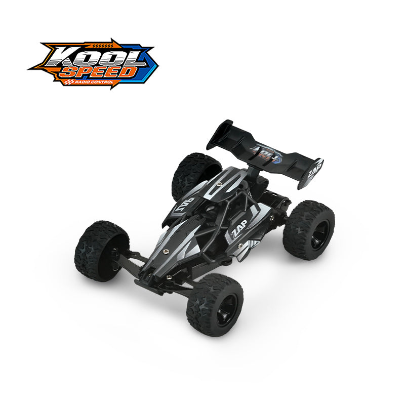 2.4GHz 1:32 R/C MiniZap